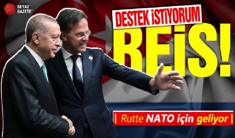 Başkan Erdoğan Hollanda Başbakanı Rutte'yi İstanbul'da kabul edecek! Masada hangi konular var? NATO seçimi | AB üyelik süreci