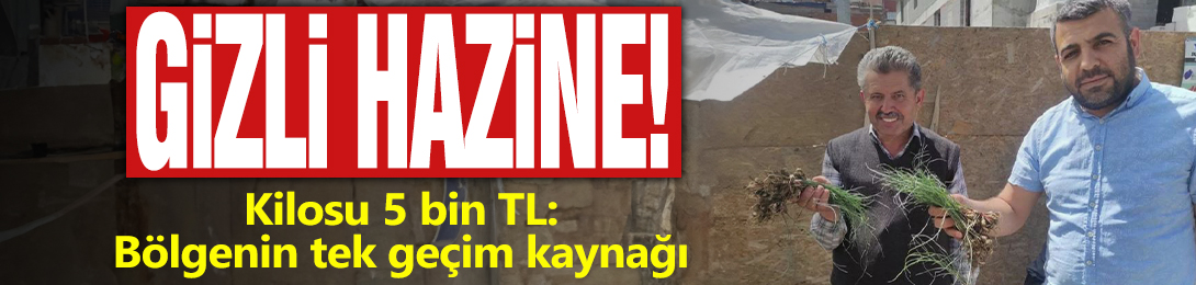 Gizli hazine! Kilosu 5 bin TL: Bölgenin tek geçim kaynağı