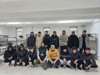 Tekirdag'da 16 Kaçak Göçmen Yakalandi