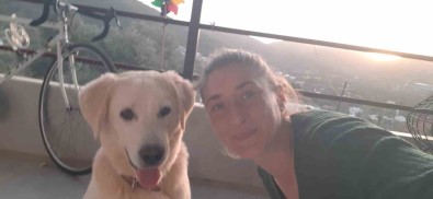 Bodrum'da Kedi Ve Köpek Katliami