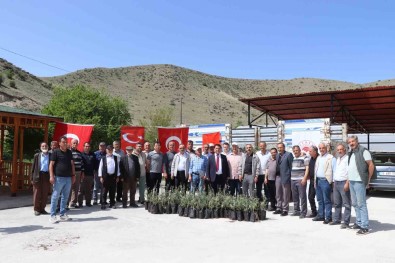 Oltu'da Çiftçiye 1300 Zeytin Fidani