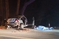 Askerlik Arkadaslarinin Son Bulusmasi Açiklamasi 2 Ölü, 1 Agir Yarali