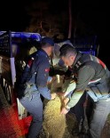 Çalindigi Sanilan 15 Koyunu Jandarma Ekipleri Buldu