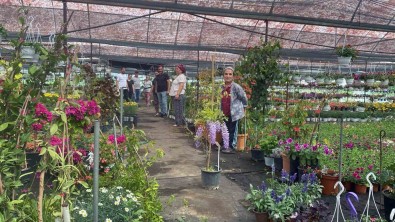 Yaz Sezonu Çiçek Üretimi Basladi