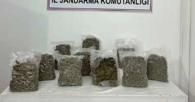 Bingöl'de 5 kilo esrar ele geçirildi: 2 gözaltı!