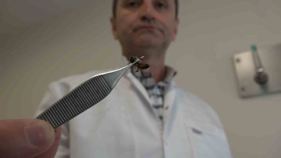 (Özel) 5 Bin Yillik Tedavi Açiklamasi Bu Arilar Sifa Dagitiyor