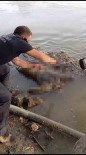 Nehirde Erkek Cesedi Bulundu Haberi
