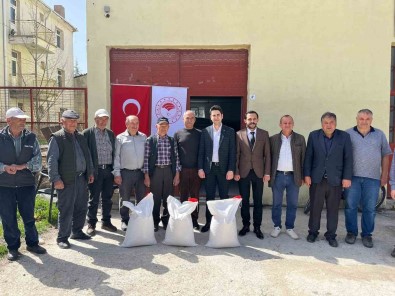 Çavdarhisar'da Çiftçilere Yüzde 50 Hibeli 37 Bin 500 Kilogram Nohut Tohumu Dagitildi