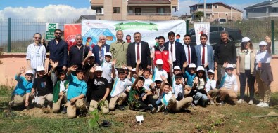 Yalova'da Ögrenciler Okul Bahçesine Meyve Agaci Fidani Dikti