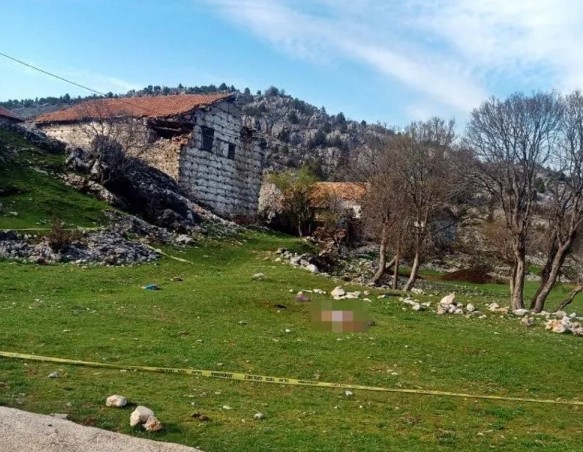 3 köpeğin saldırdığı kadın öldü! Antalya’da kan donduran görüntü!