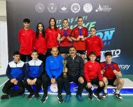 Erzincanli Badmintoncular 4 Farkli Bransta Türkiye Sampiyonlugu Kazandi