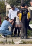 Ankara'da Basibos Köpekler Çocuga Saldirdi