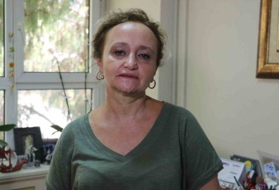 Prof Dr. Tasova Açiklamasi 'Sivrisinek Salgin Hastaliklara Yol Açabilir'