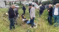 Yalova'da 2 Otomobil Çarpisti Açiklamasi 1 Yarali