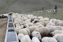 Büyüksehir'den Pinarbasi'ya Mahalle Mahalle Tarimsal Hizmet
