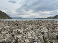Van Gölü Kiyilarindaki Mikrobiyalitler Vatandaslari Sasirtti