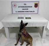 Aile Boyu Uyusturucu Taciri Çiktilar