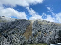Bolu'da Mayis Ortasinda Yagan Kar Hayrete Düsürdü Açiklamasi 'Normal Degil'