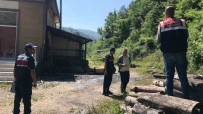 Orman Isletme Müdürlügü'ne Ait Depodaki Patlamada Agir Yaralanmisti, Hayatini Kaybetti