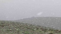 Van'in Yüksek Kesimlerinde Mayis Ayinda Lapa Lapa Kar Yagdi
