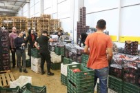 Ege Bölgesinin Tarimi Için Önem Tasiyan Deppo Efes Sezona Hazirlaniyor