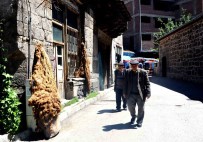 Erzurum'da 36 Bin 630 Kisi Tek Yasiyor