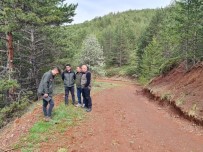 Erzurum Orman Bölge Müdürü Ayatay, Refahiye Ormanlarinda Incelemelerde Bulundu