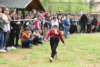 Bitlis'te 'Geleneksel Sokak Oyunlari Senligi' Düzenlendi