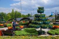 Selçuklu Çiçek Bahçesi Ziyaretçileri Için Gün Sayiyor