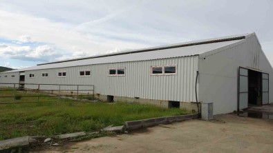 Tarimsal Uygulama Merkezinde Hayvansal Ürünler Elde Edilecek