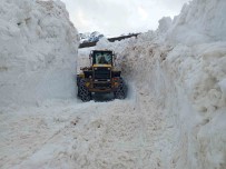 Trabzon Yaylalarinda Karla Mücadele Çalismasi Sürüyor