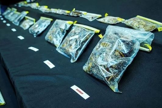 ABD'li profesörün hedefi Mardin akrebiymiş! Soruşturmada dikkat çeken detaylar