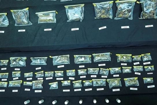 ABD'li profesörün hedefi Mardin akrebiymiş! Soruşturmada dikkat çeken detaylar