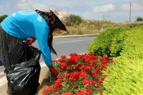 Alanya'da 571 Bin 250 Adet Mevsimlik Çiçek Toprakla Bulustu