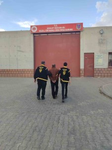 Cinayetten Aranan Zanli Yakalandi
