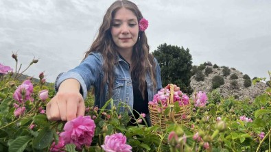 Mis Kokulu Bahçelerle Çevrili 'Gül Yolu' Açildi