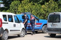 Amasya'da Büyükbas Hayvana Vahset Açiklamasi 5 Gözalti Haberi