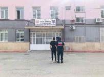Uyusturucu Ticareti Suçundan Aranan Sahsi Jandarma Yakaladi
