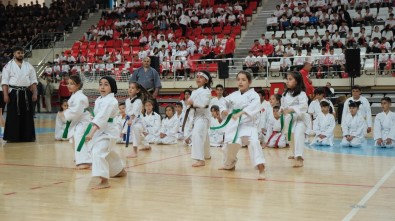 19 Mayis Atatürk'ü Anma, Gençlik Ve Spor Bayrami Erzincan'da Coskuyla Kutlandi