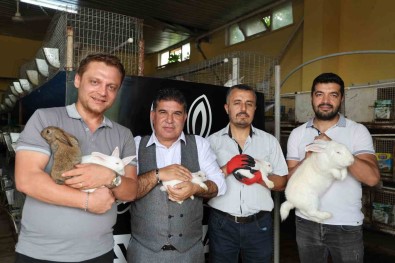 Devlet Destegiyle 10 Tavsan Aldi, 78 Ayri Tavsan Üretim Merkezi Açilmasina Sagladi