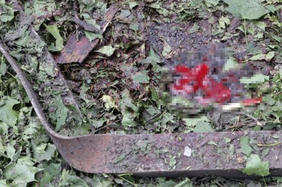 Rusya Bir Kez Daha Harkov'u Vurdu Açiklamasi 5 Ölü