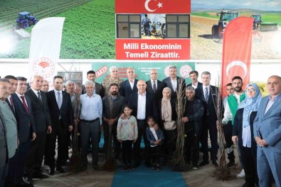 Agri'da Meyve Yetistiriciliginin Yayginlastirilmasi Için 28 Bin 800 Adet Meyve Fidani Dagitildi