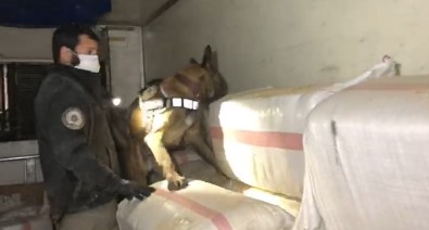 Saman Yüklü Tirda 99 Kilo Eroinin Sevkiyatini Yapan Saniklarin Cezasi Belli Oldu