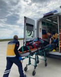Attan Düsen Hasta Helikopter Ambulansla Van'a Sevk Edildi