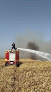 Hatay'da Bugday Tarlasinda Yangin