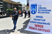Ankara Büyüksehir Belediyesinin Sebze Fidesi Dagitimi Tekrar Basladi