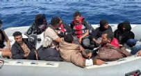 Bodrum'da göçmen operasyonu