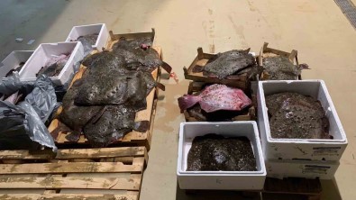 Gürpinar Su Ürünleri Hali'nde Kalkan Operasyonu