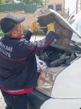 Hakkari'de Minibüsün Motor Kaputuna Giren Yilani Itfaiye Ekipleri Çikardi