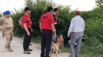Misir Tarlasinda Kaybolan Bir Kisi Özel Egitimli Köpeklerle Araniyor
